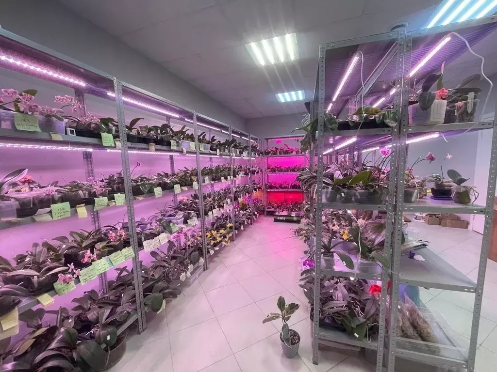 Торговая площадь в Краснодарский край, Краснодар ул. Им. Героя ... - Фото 2