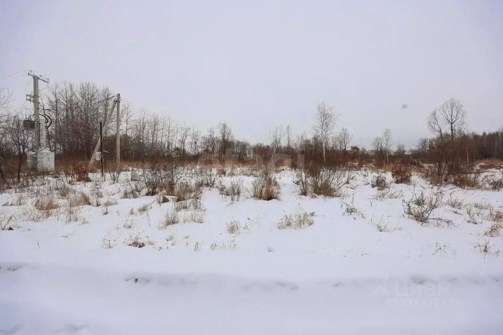 Участок в Еврейская автономная область, Смидовичский район, пос. ... - Фото 1