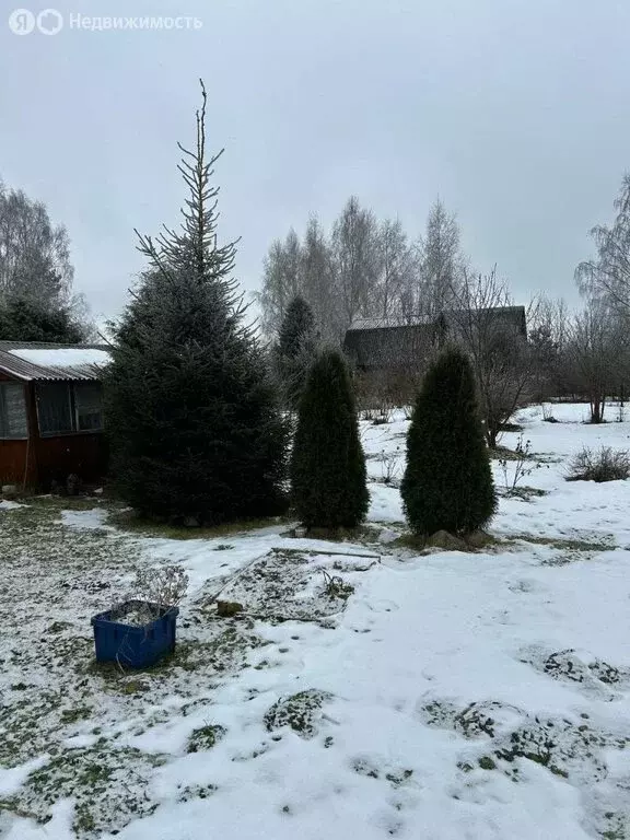 Дом в Красносельский район, Боровиковское сельское поселение, деревня ... - Фото 1