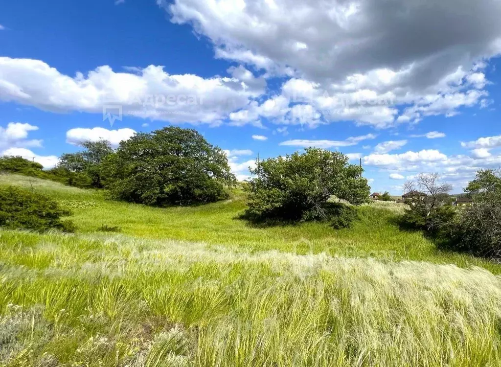 Участок в Волгоградская область, Городищенский район, Царицынское ... - Фото 1