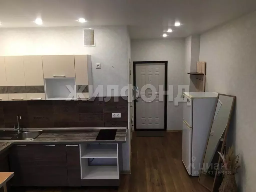 1-к кв. Новосибирская область, Новосибирск ул. Ватутина, 93/2 (24.6 м) - Фото 2