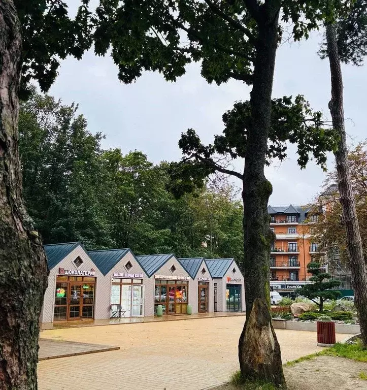 Торговая площадь в Калининградская область, Светлогорск ул. Динамо, ... - Фото 2