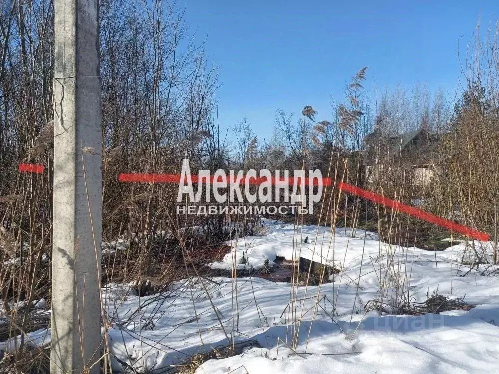 Участок в Ленинградская область, Всеволожский район, Колтушское ... - Фото 2