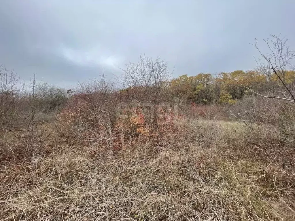 Участок в Крым, Кировский район, Первомайское с/пос, Заря СНТ пер. ... - Фото 1