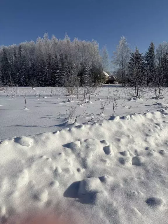 Участок в Московская область, Лотошино пгт ул. 3-я Комсомольская ... - Фото 1