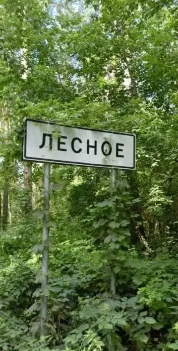 Торговая площадь в Алтайский край, Бийский район, с. Лесное Лесная ... - Фото 1