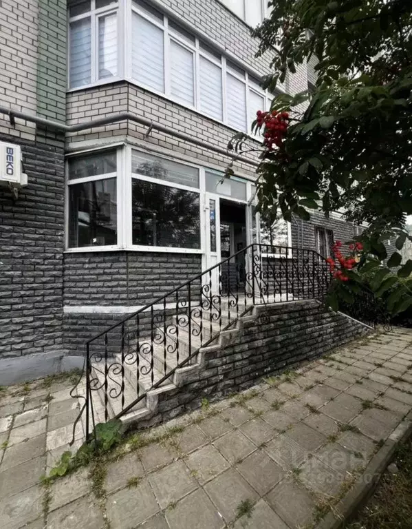Помещение свободного назначения в Татарстан, Казань просп. Ямашева, ... - Фото 1