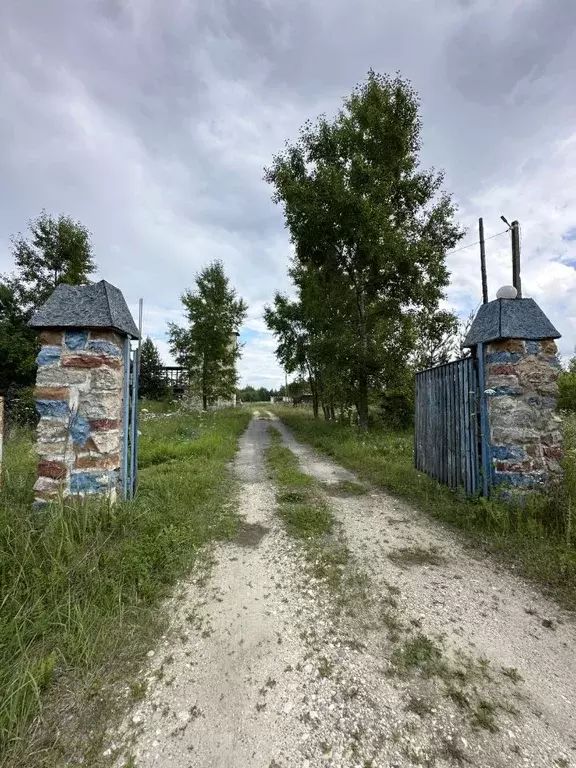 Производственное помещение в Владимирская область, Селивановский ... - Фото 1