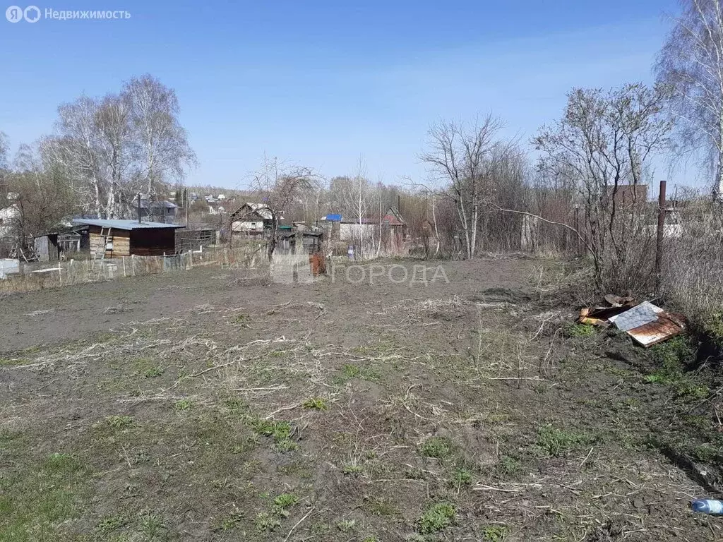 Участок в Павловский район, Шаховский сельсовет (7.7 м) - Фото 1