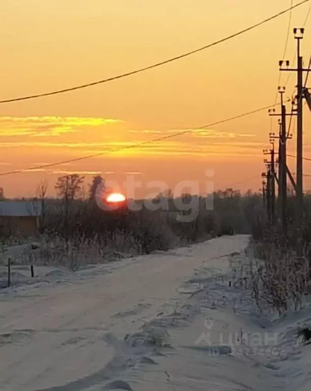 Участок в Новосибирская область, Колыванский район, Север ТСН 180 (9.9 ... - Фото 1