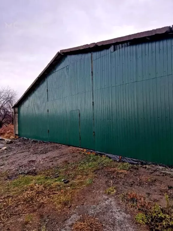Склад в Новосибирская область, Новосибирский район, с. Боровое ул. ... - Фото 1
