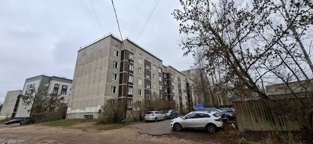 3-к кв. Ленинградская область, Луга ул. Миккели, 1к3 (70.0 м) - Фото 2