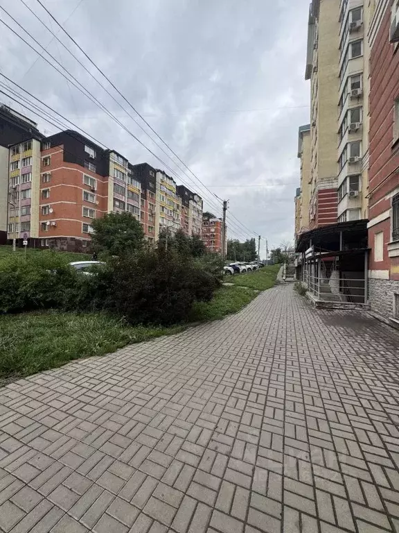 Помещение свободного назначения в Липецкая область, Липецк ул. Фрунзе, ... - Фото 1