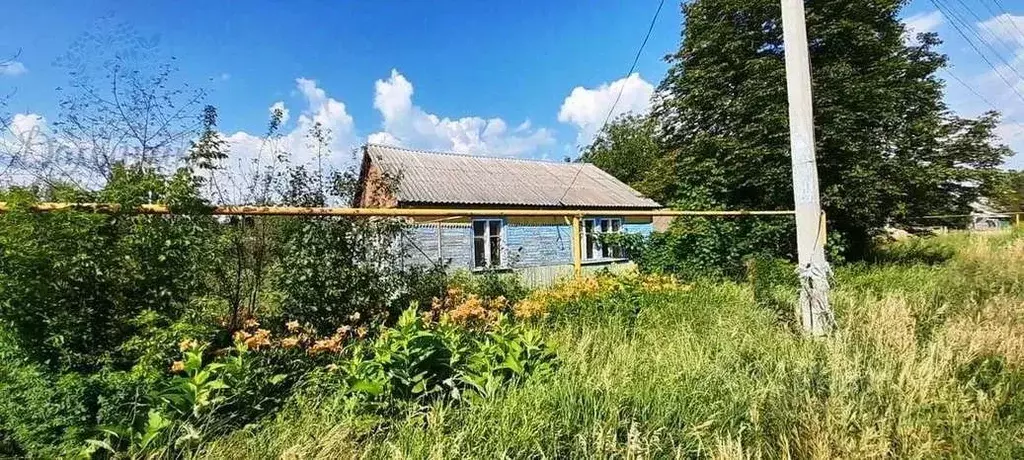 Дом в Воронежская область, Аннинское городское поселение, Анна пгт ул. ... - Фото 0