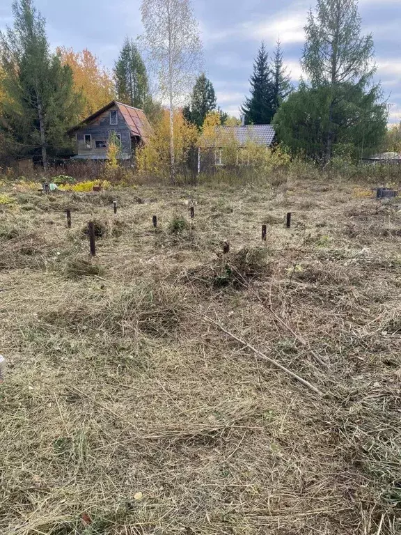 Участок в Свердловская область, Екатеринбург Рассвет СНТ, 58 (12.7 ... - Фото 0
