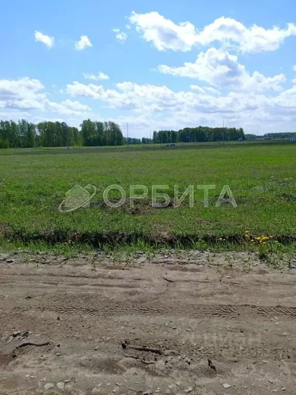 Участок в Тюменская область, Тюменский муниципальный округ, ... - Фото 2