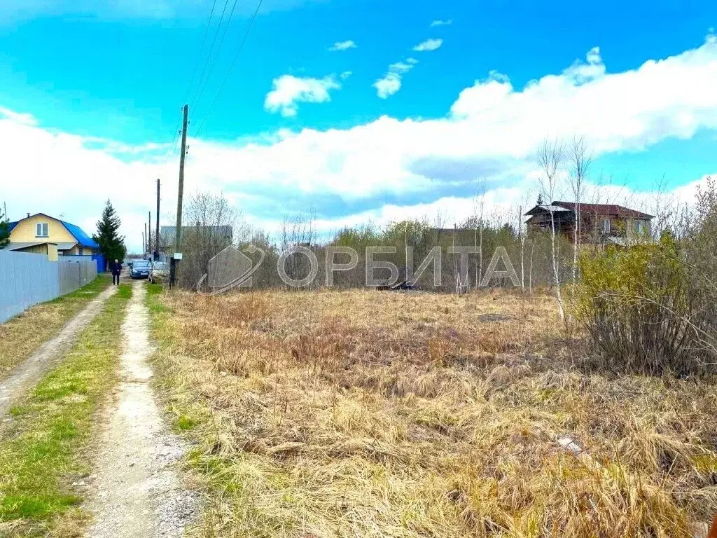 Участок в Тюменская область, Тюменский муниципальный округ, Нива СНТ ... - Фото 1