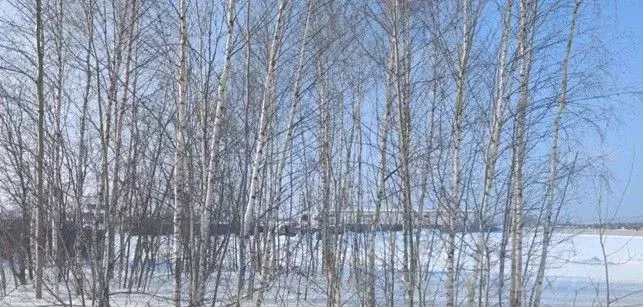 Участок в Московская область, Щелково городской округ, д. Назимиха  ... - Фото 1