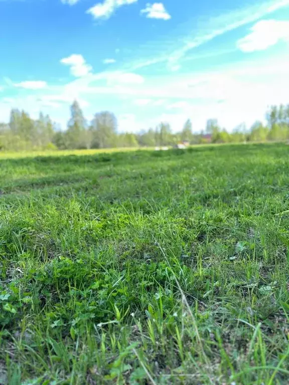 Участок в Новгородская область, Маловишерское городское поселение, д. ... - Фото 1