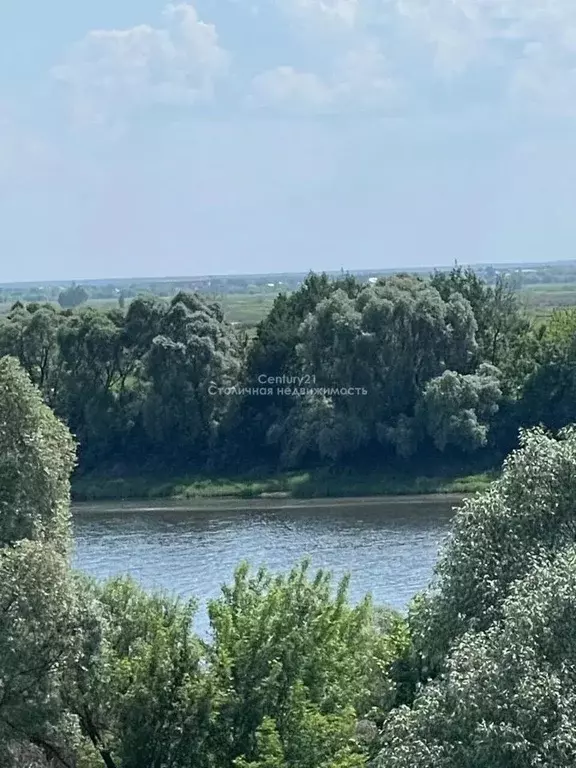 Участок в Рязанская область, Шиловский район, Санское с/пос, с. Юшта  ... - Фото 1