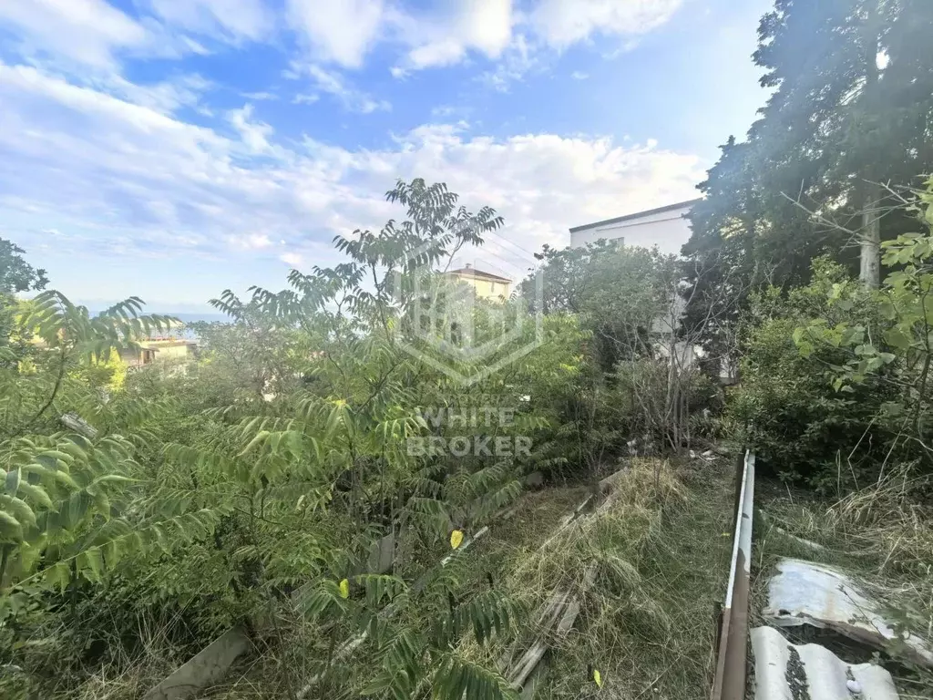 Участок в Крым, Ялта муниципальный округ, Отрадное пгт ул. Отрадная, 3 ... - Фото 2