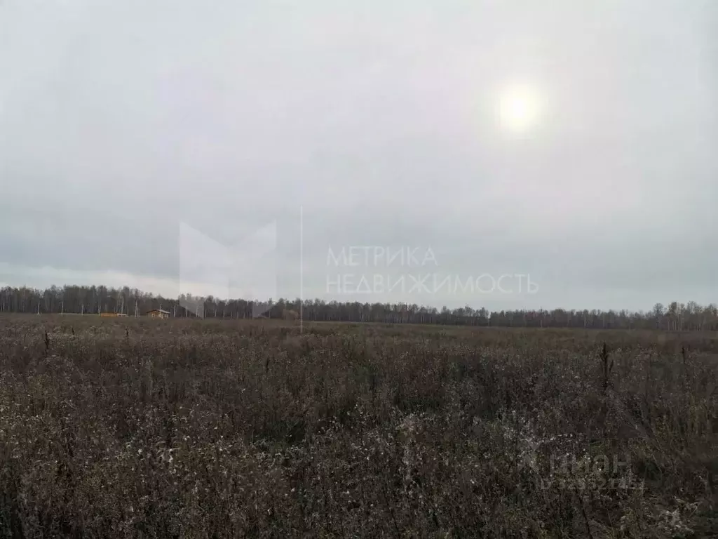 Участок в Тюменская область, Тюменский муниципальный округ, с. ... - Фото 2