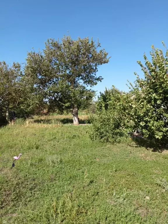 Участок в Краснодарский край, Ейский район, Должанская ст-ца Садовая ... - Фото 0