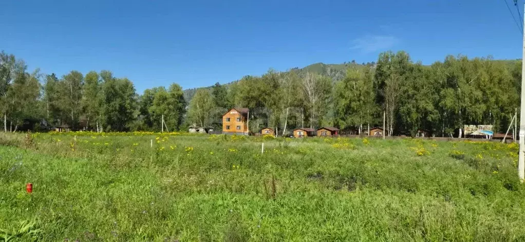 Участок в Алтай, Майминский район, Соузгинское с/пос, пос. Турбаза ... - Фото 1