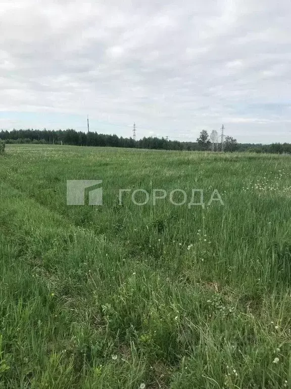 Участок в Кемеровская область, Новокузнецкий муниципальный округ, пос. ... - Фото 2