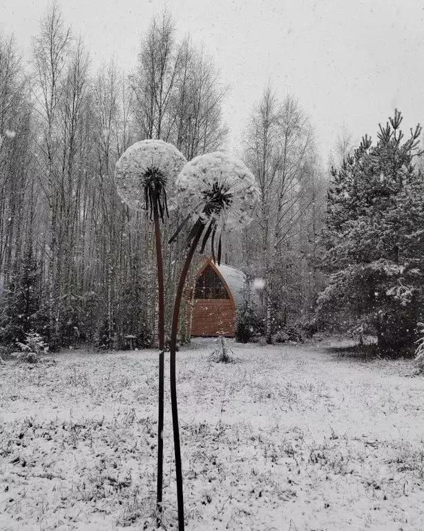 Дом в Новгородская область, Новгородский район, Савинское с/пос, д. ... - Фото 1