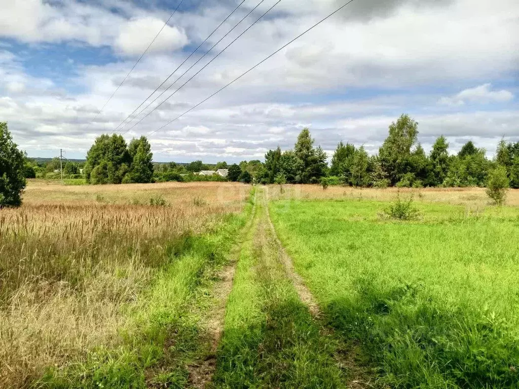 Участок в Псковская область, Пушкиногорье городское поселение, д. ... - Фото 1