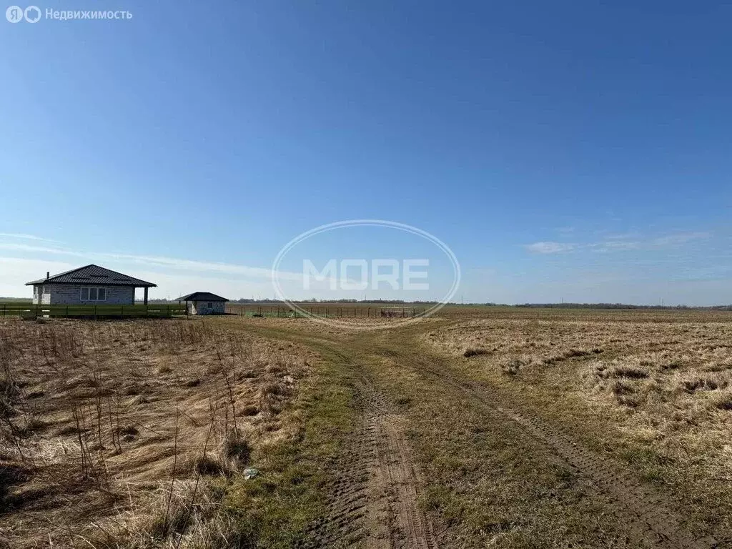 Участок в Калининградская область, Гурьевский муниципальный округ, ... - Фото 2