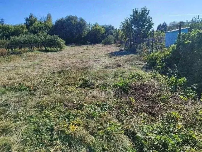Участок в Воронежская область, с. Новая Усмань ул. Советская, 329 ... - Фото 2