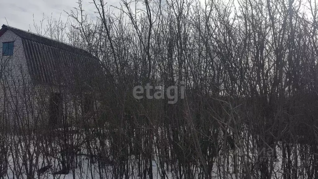 Участок в Липецкая область, Липецк Спутник СНП, 2/306 (12.0 сот.) - Фото 0
