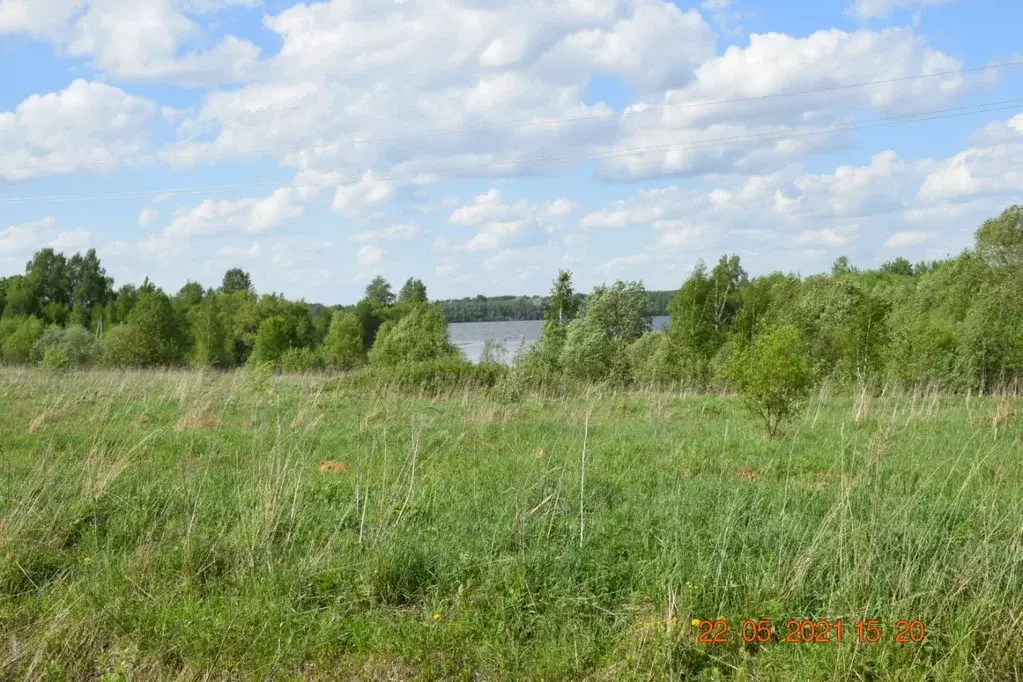 Участок в Ярославская область, Угличский муниципальный округ, д. ... - Фото 2