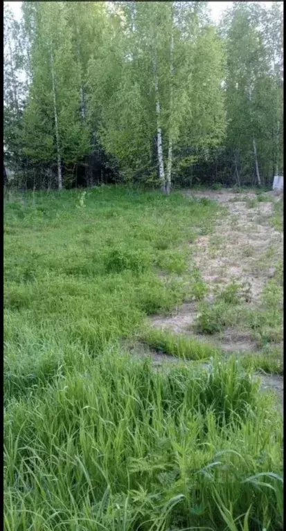 Участок в Кировская область, Киров Славич СДТ,  (6.0 сот.) - Фото 2