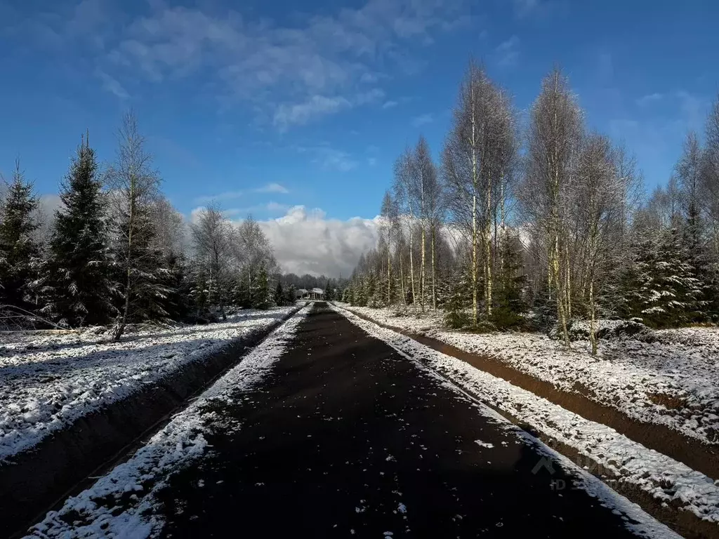 Участок в Калужская область, Совхоз Боровский с/пос, Волконское кп  ... - Фото 1