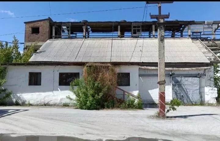 Помещение свободного назначения в Новосибирская область, Новосибирск ... - Фото 1