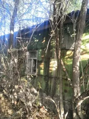 Дом в Тамбовская область, Токаревский муниципальный округ, д. ... - Фото 2