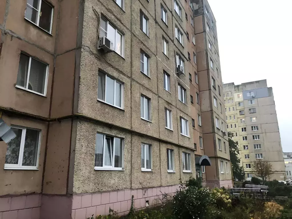 1-к кв. Орловская область, Орел ул. Дмитрия Блынского, 2А (35.0 м) - Фото 1