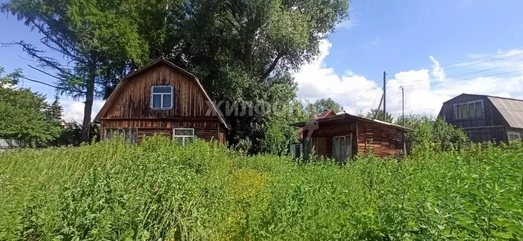 Участок в Новосибирская область, Новосибирск Ивушка садовое ... - Фото 0