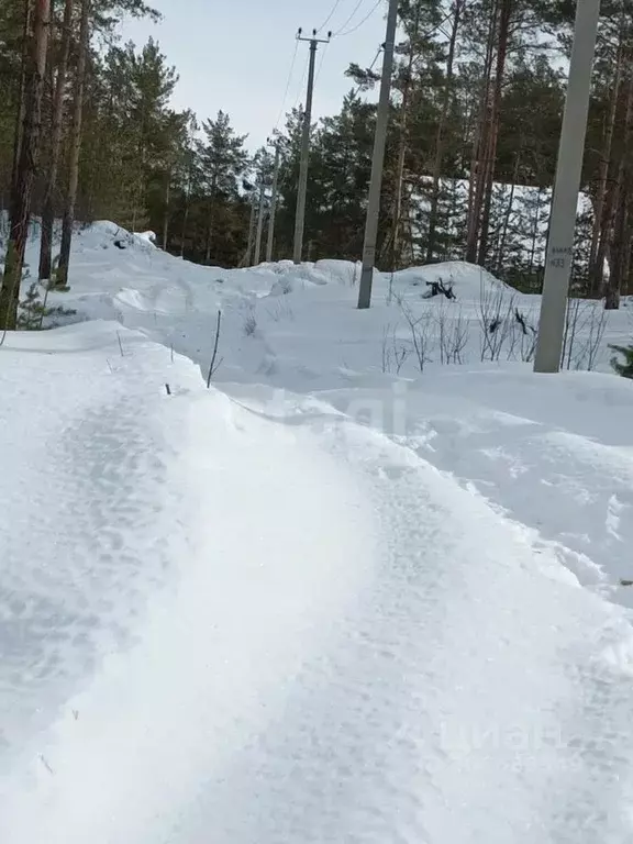 Участок в Челябинская область, Кыштым  (10.7 сот.) - Фото 1