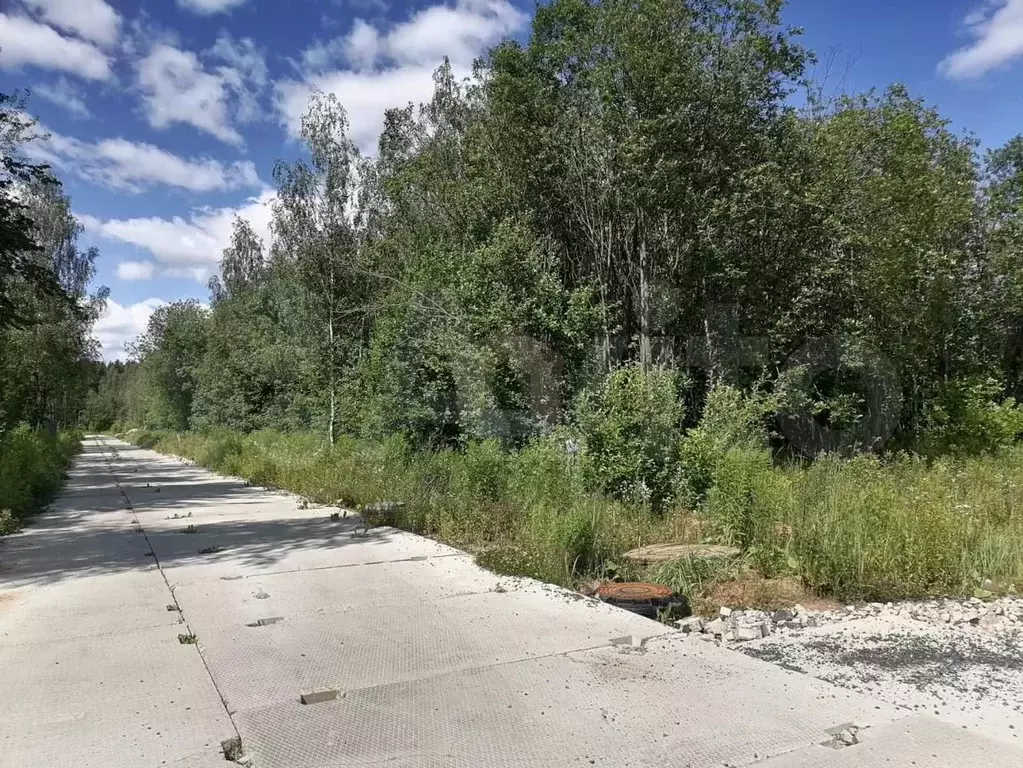 Участок 19,6 сот. (СНТ, ДНП) - Фото 1