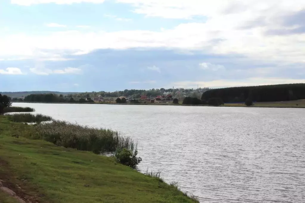 Участок в Нижегородская область, Богородский район, д. Инютино  (10.0 ... - Фото 1