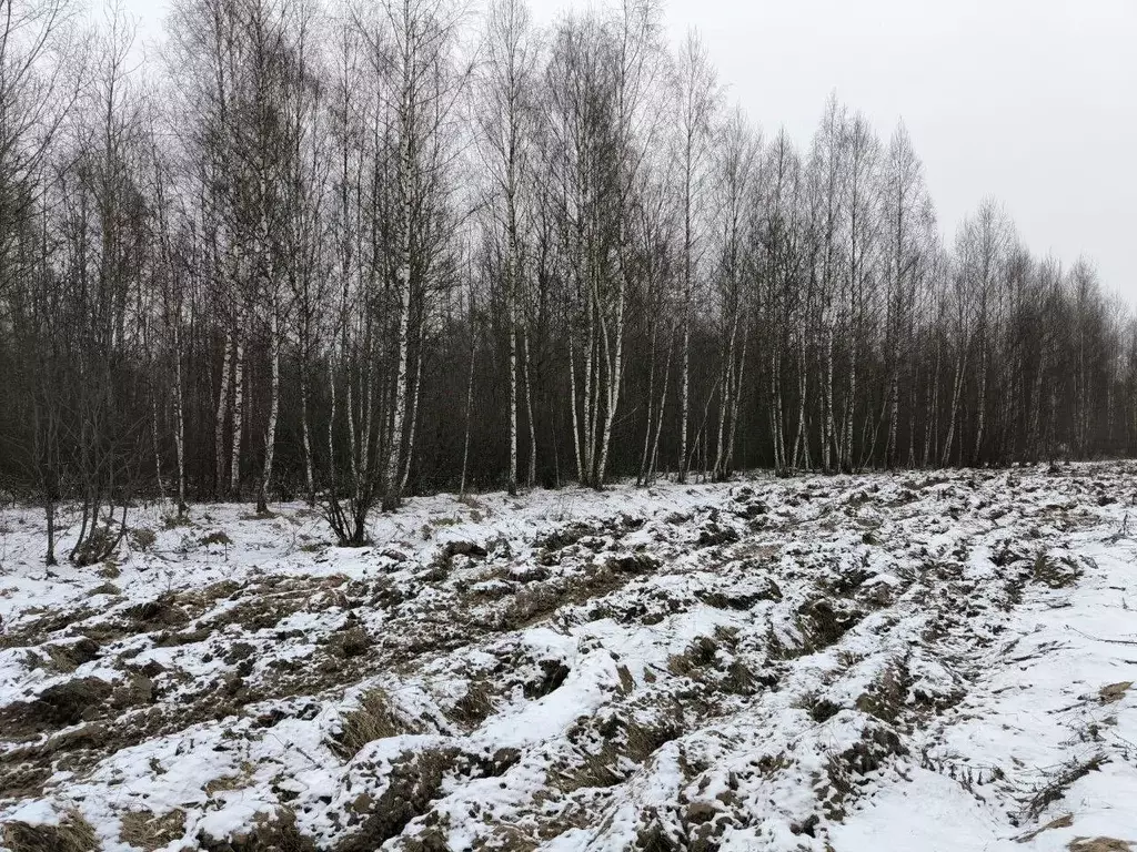 Участок в Московская область, Лотошино муниципальный округ, д. ... - Фото 0