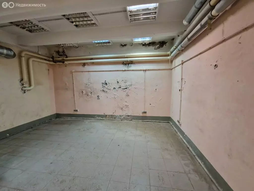 Помещение свободного назначения (253 м) - Фото 1