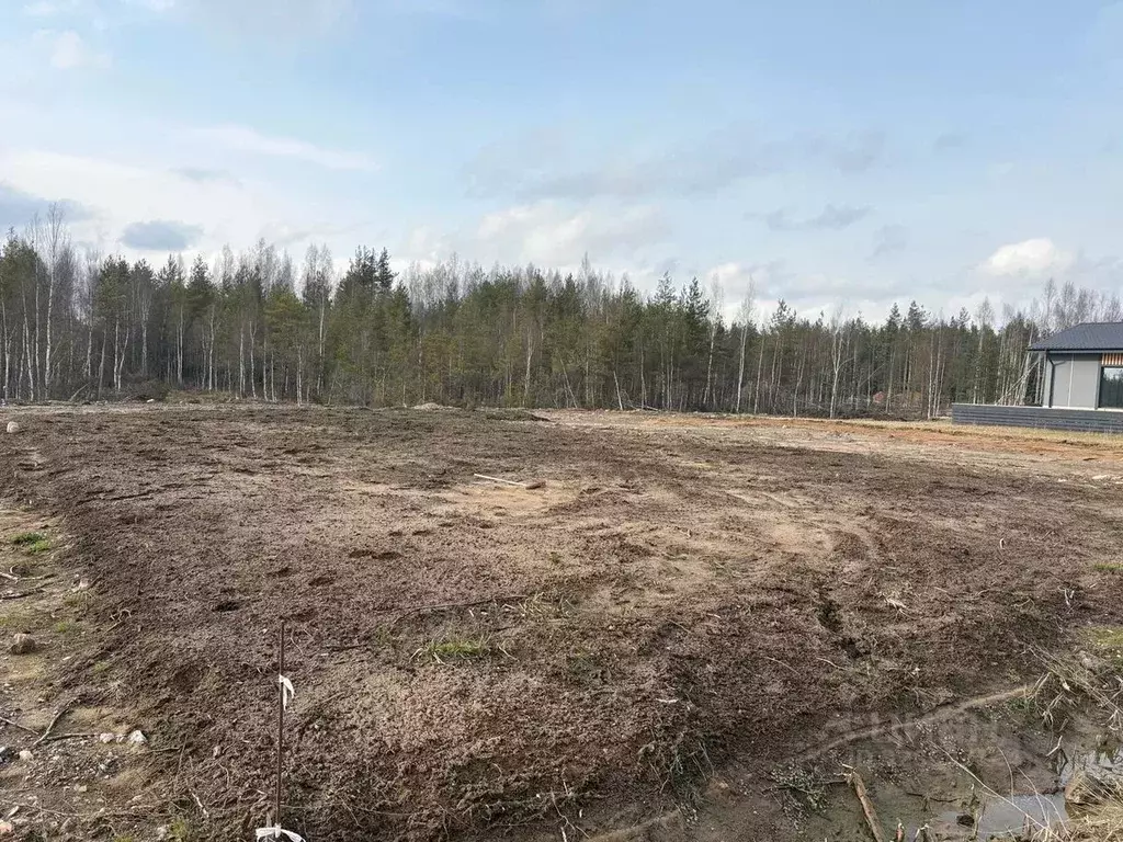 Участок в Ленинградская область, Всеволожское городское поселение, ... - Фото 1