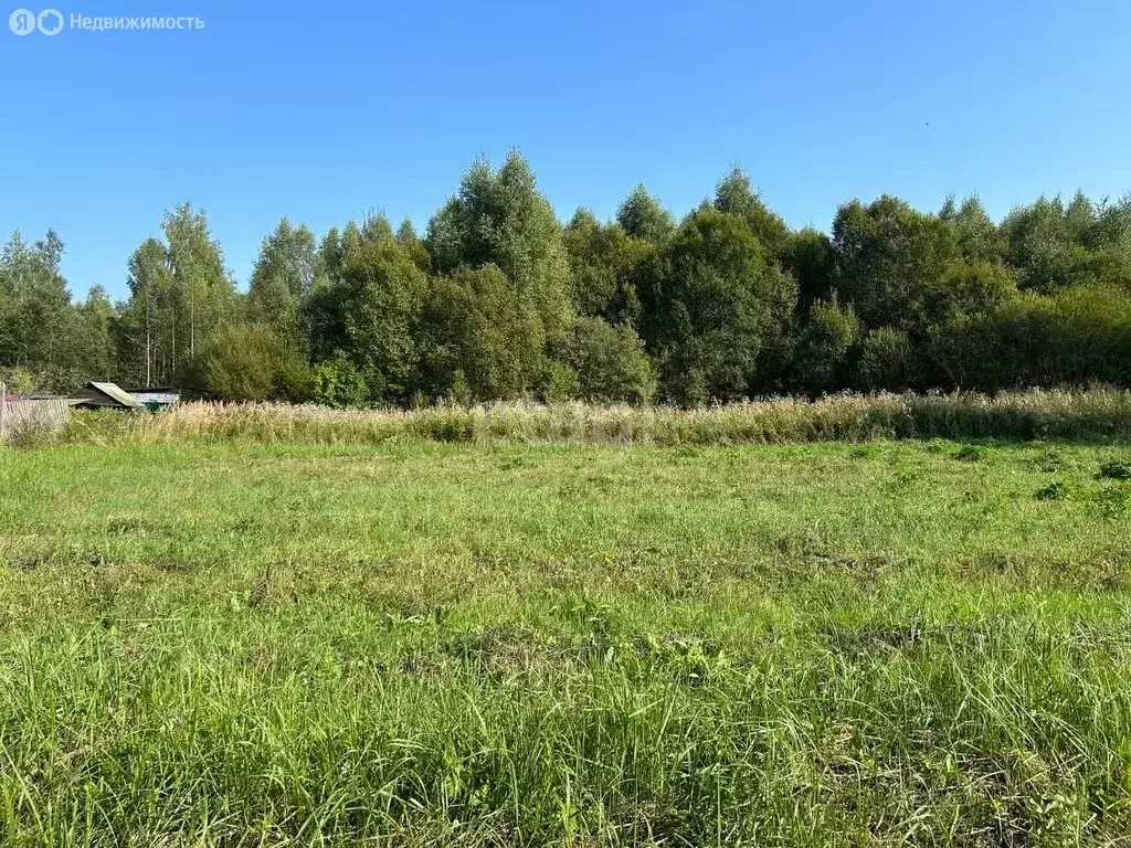 Участок в Московская область, городской округ Клин, деревня Дятлово (8 ... - Фото 0