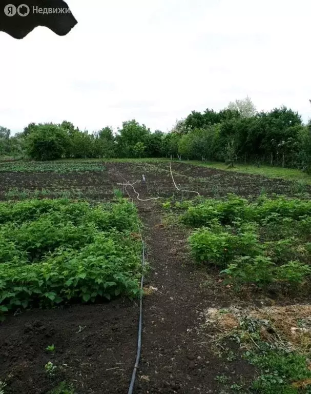 Дом в Платнировская, Степной переулок, 19 (140 м) - Фото 1