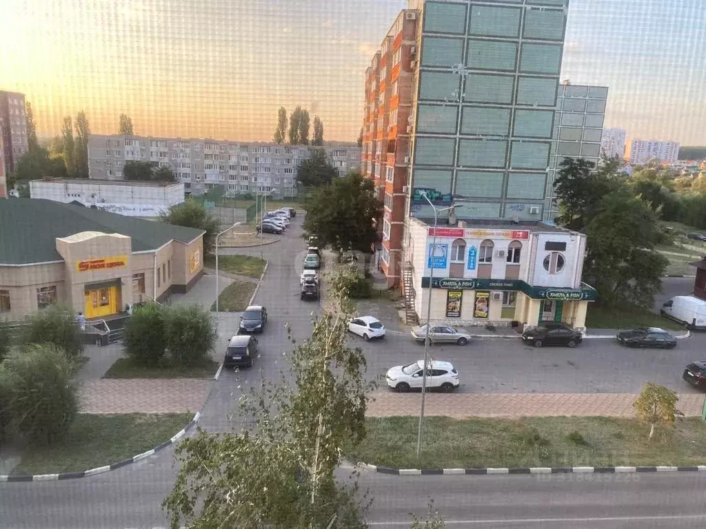 3-к кв. Воронежская область, Нововоронеж ул. Космонавтов, 39 (54.4 м) - Фото 0